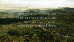 Inspirational Quotes to Motivate Your Next Adventure