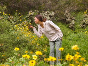 Our Favorite U.S. Hiking Destinations for Spring Wildflowers